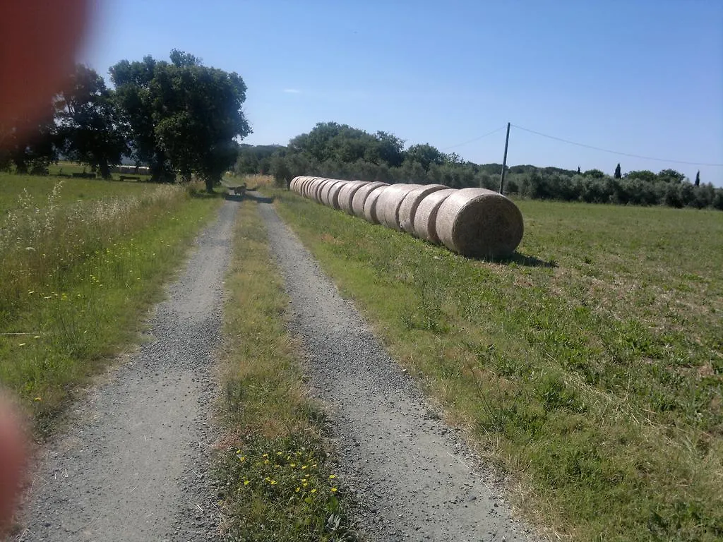Alloggio per agriturismo Agriturismo Il Selvello Le Versegge Italia